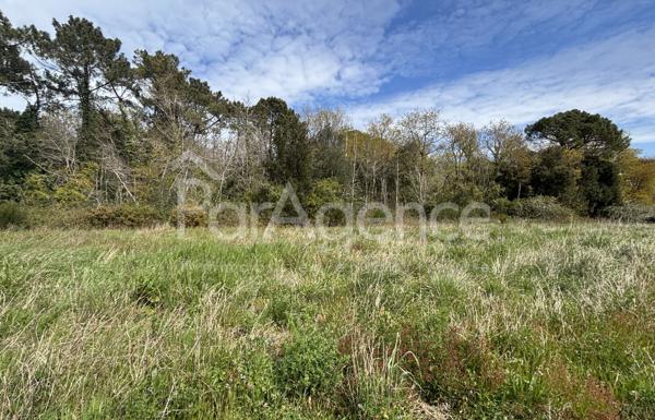 Terrain constructible 415 m2 Environnement calme et boisé