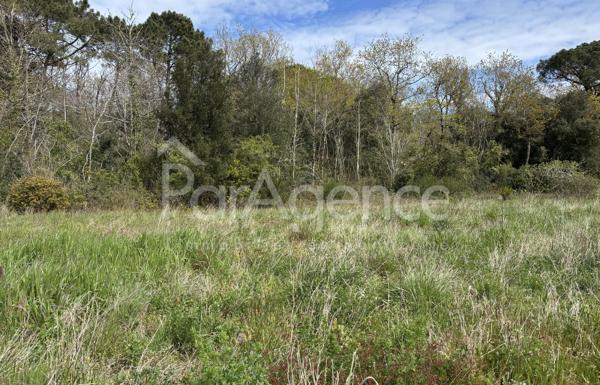 Terrain constructible 415 m2 Environnement calme et boisé