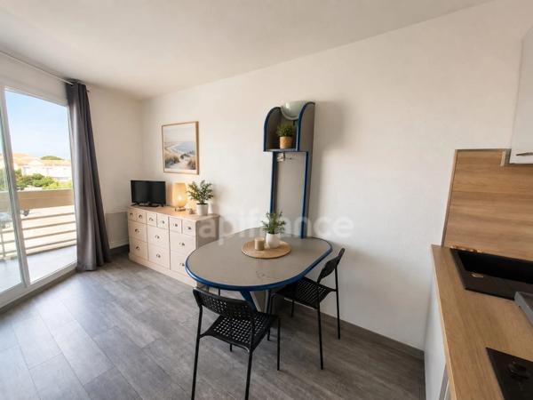 Prix en baisse ! Studio lumineux 4 couchages avec terrasse et vue Canigou – Résidence en bord de mer avec piscine