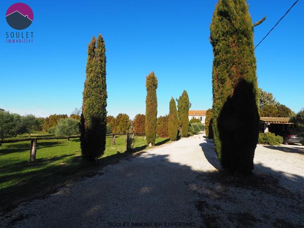 Pernes-les-Fontaines (84210) Magnifique propriété avec 3 gîtes