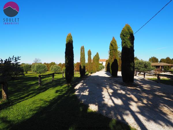 Pernes-les-Fontaines (84210) Magnifique propriété avec 3 gîtes