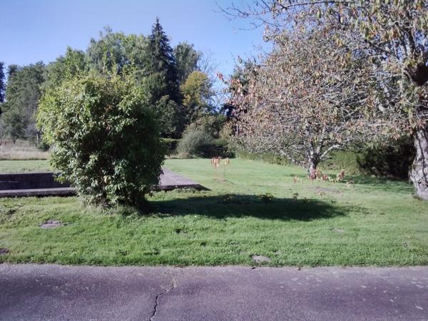 🏡 Maison familiale 125 m² sur terrain de 9 454 m² avec bois et cours