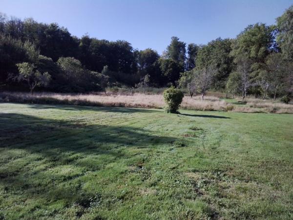 🏡 Maison familiale 125 m² sur terrain de 9 454 m² avec bois et cours