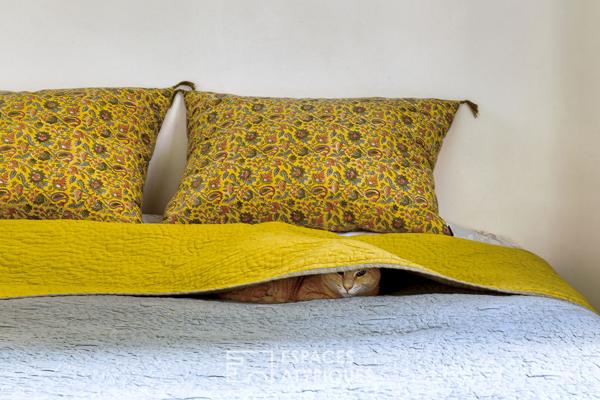 Typique appartement de caractère à Montorgueil – Etienne Marcel