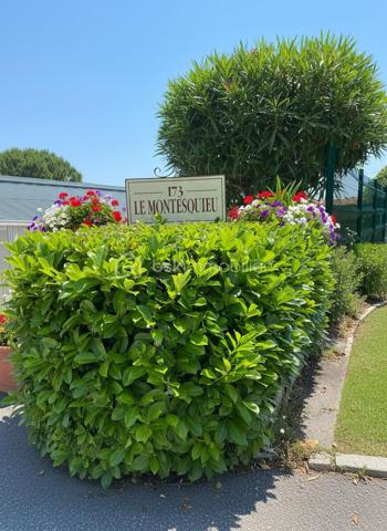 Quartier résidentiel prisé de Sainte-Marguerite, au calme absolu d'une résidence arborée, venez découvrir cet appartement traversant au 3ème étage avec ascenseur.

Cet appartement de 2 pièces ne nécessite aucun travaux. Lumineux et traversant, il bénéficie d'une vue dégagée sur la verdure et d'une belle exposition Est/Ouest

Le séjour en cuisine ouverte aménagée et équipée offre un espace de vie convivial et fonctionnel, donnant directement accès à la terrasse ensoleillée, véritable prolongement de l'appartement idéal pour profiter du doux climat azuréen.

La chambre, lumineuse  est au calme. La salle de douche avec cabine à l'italienne, meuble vasque est équipée d'un miroir rétroéclairé. WC séparés.

Les prestations

- Appartement traversant, calme et lumineux
- Terrasse avec vue sur la verdure
- Cuisine ouverte moderne équipée
- Cabine de douche, WC séparés
- Climatisation
- Ascenseur
- Parking intérieur inclus avec accès direct au logement
- Cave privative

La station de Tramway "Digue des Français" se situe à 14 minutes à pied. Les bus à 2 minutes à pied 12, 17, 32 et 51 desservent directement l'avenue, pour rejoindre le centre-ville, la Promenade des Anglais et l'aéroport sans voiture.

En voiture, la voie rapide (voie Pierre Mathis ) et l'A8 sont accessibles en moins de 5 minutes, idéal pour rayonner sur toute la Côte d'Azur.

Quartier résidentiel et familial, commerces et services à proximité immédiate.

Ce bien est rare : traversant avec parking intérieur et cave dans un quartier calme et bien desservi. À visiter sans tarder.