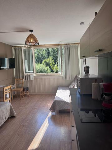Studio avec local à skis et parking - LIORAN Laveissière (15300)