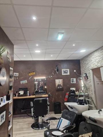 Divers à vendre à Hennebont dans le Morbihan (56700), ref : 56081-2356