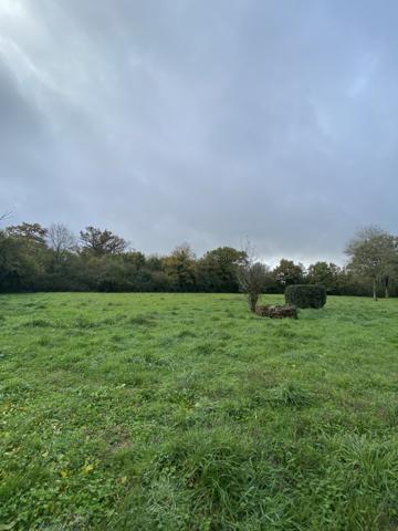 Commequiers (85220) COMMEQUIERS - MAISON 3 CHAMBRES AVEC GARAGE