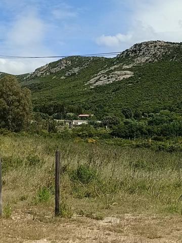 Vente                                                      Terrain
                        
                                         2620 m2                     à Moncale