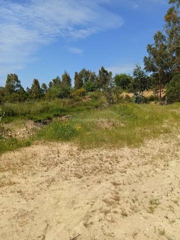 Vente                                                      Terrain
                        
                                         2620 m2                     à Moncale