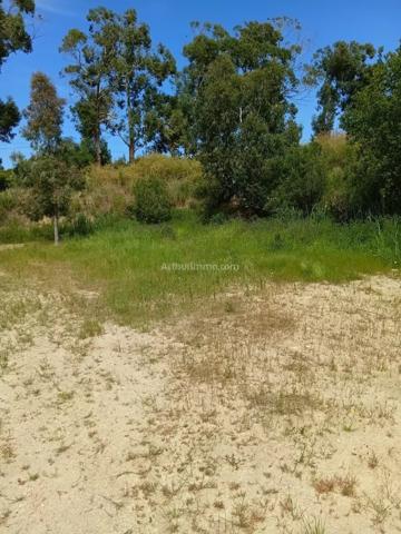 Vente                                                      Terrain
                        
                                         2620 m2                     à Moncale