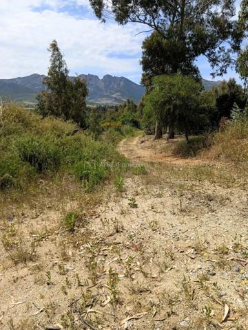 Vente                                                      Terrain
                        
                                         2620 m2                     à Moncale