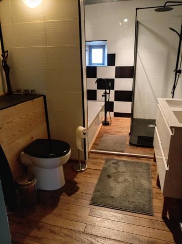 LONGERE RENOVEE + CHAMBRES D HOTES + DEPENDANCES AU BOUT DU CHEMIN 300