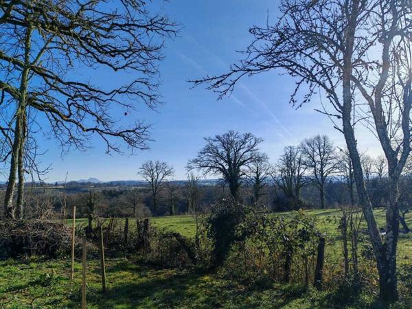 LONGERE RENOVEE + CHAMBRES D HOTES + DEPENDANCES AU BOUT DU CHEMIN 300