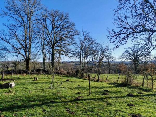 LONGERE RENOVEE + CHAMBRES D HOTES + DEPENDANCES AU BOUT DU CHEMIN 300