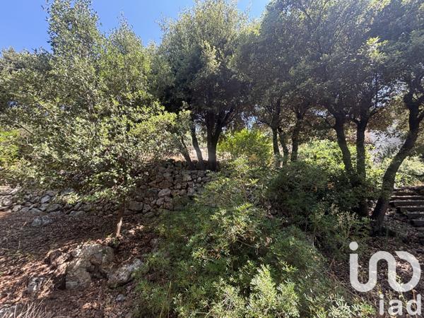 Maison à vendre 6 pièces 214 m² Taradeau