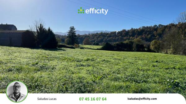 Terrain - 1235 m²