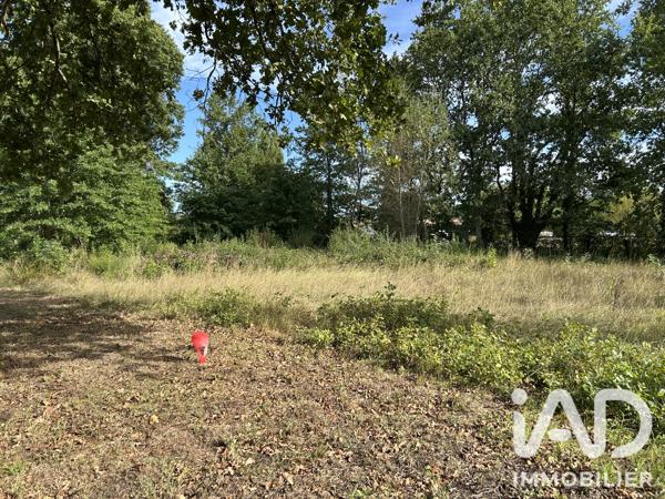 Terrain à vendre 2 601 m² Saint-Seurin-sur-l'Isle