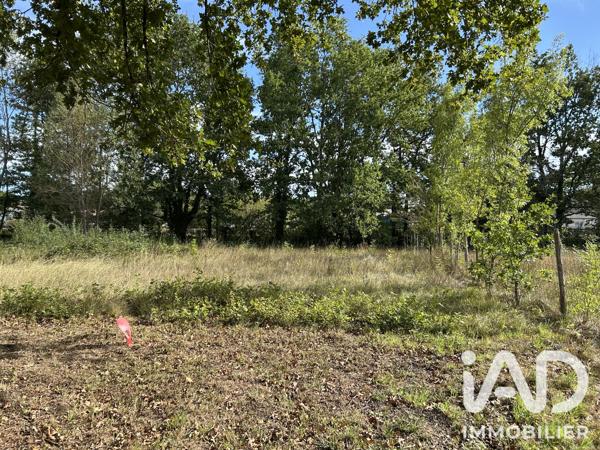 Terrain à vendre 2 601 m² Saint-Seurin-sur-l'Isle