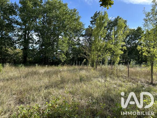 Terrain à vendre 2 601 m² Saint-Seurin-sur-l'Isle