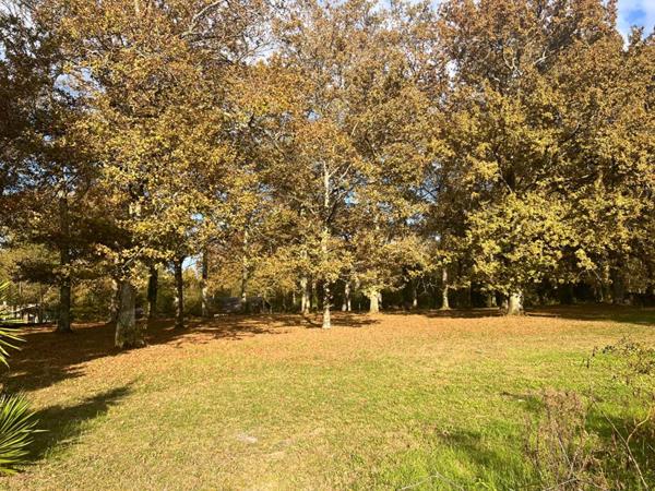 Terrain à bâtir 3600m2