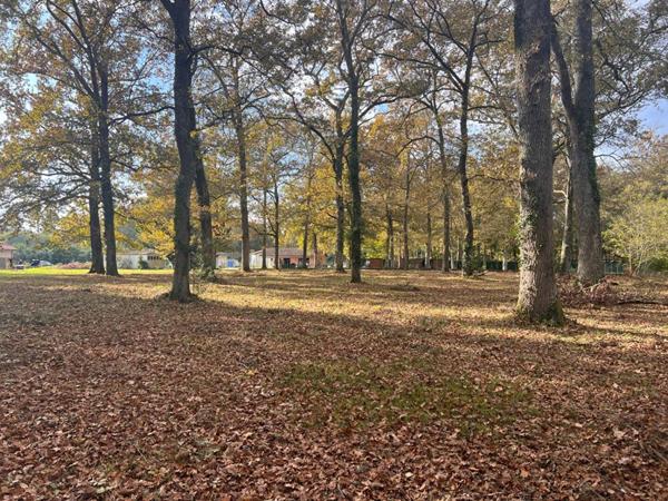 Terrain à bâtir 3600m2