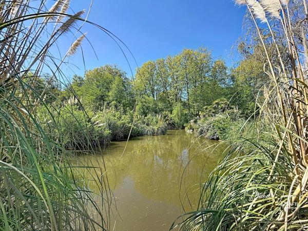 Maison de caractère – Près de 2 hectares en bord d’Adour