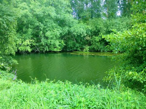 Terrain de loisirs de 2000m2 avec façade sur la rivière