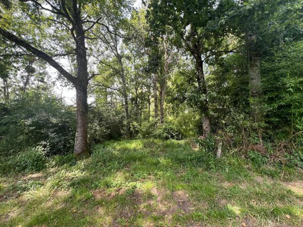 Terrain de loisirs de 2000m2 avec façade sur la rivière