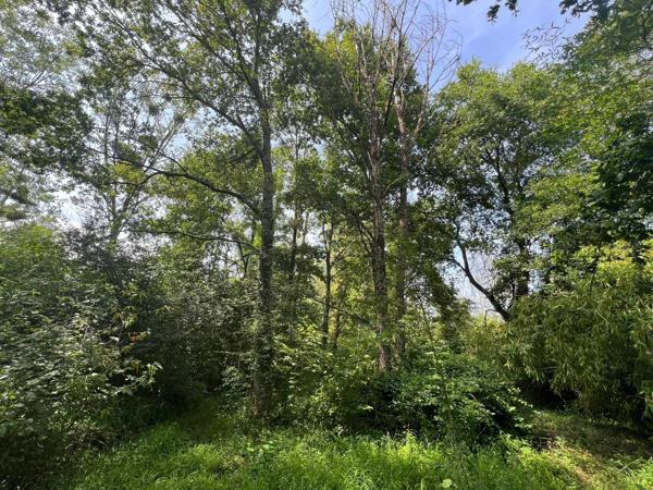Terrain de loisirs de 2000m2 avec façade sur la rivière