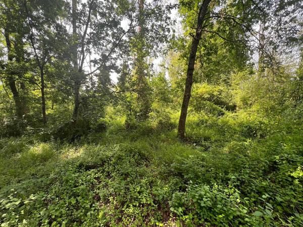 Terrain de loisirs de 2000m2 avec façade sur la rivière