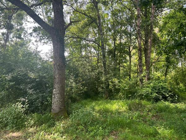 Terrain de loisirs de 2000m2 avec façade sur la rivière