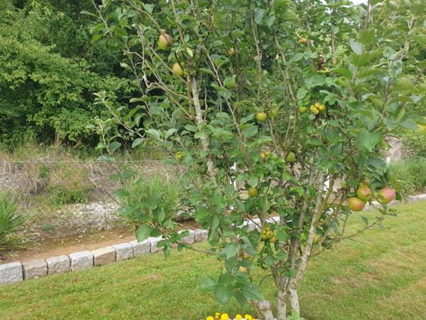 A 15 minutes d'Isneauville !!!