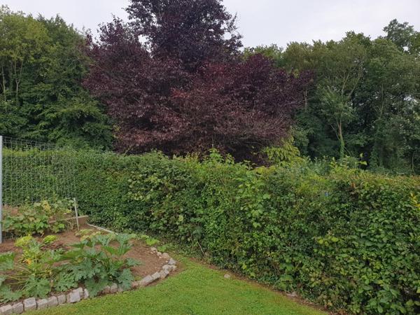 A 15 minutes d'Isneauville !!!