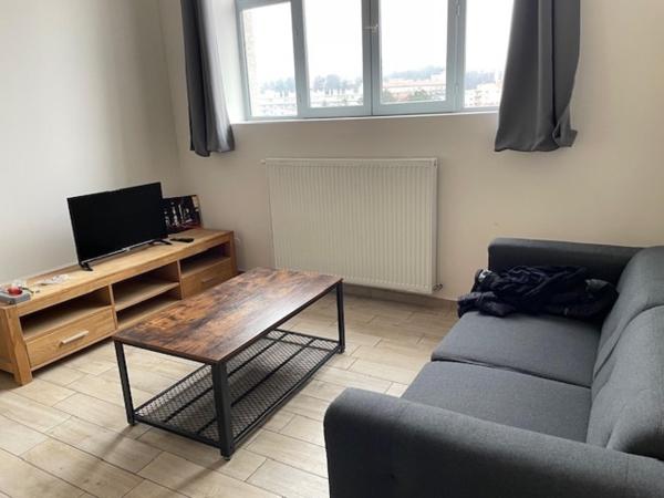 Appartement à SAINT-ETIENNE, 42100 - 1 pièce 43m²