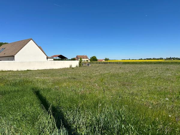 POLIGNY (77) Terrain à bâtir de 1 546 m2 - Façade de 24m
