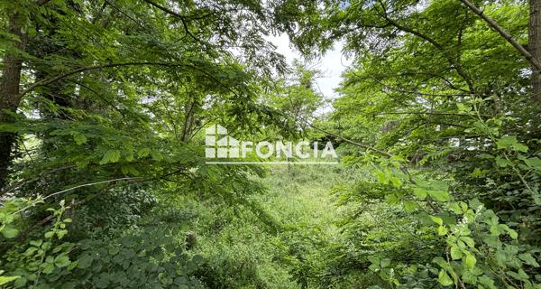 À vendre Terrain 1000 m² - Cholet 49300