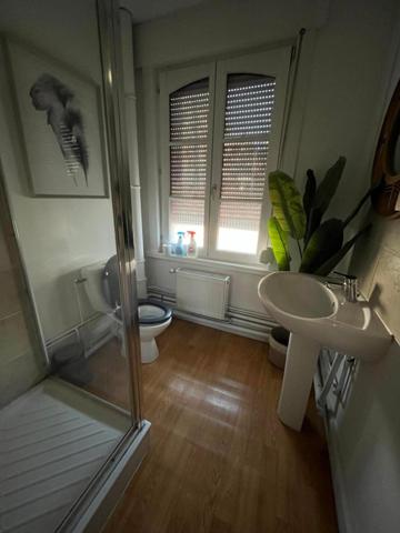 Immeuble de rapport en colocation