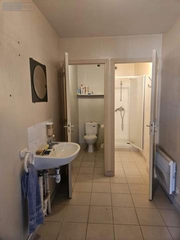 Entrepôt et bureaux à vendre à Saint-Paterne-Racan dans l'Indre-et-Loire (37370), ref : 132134