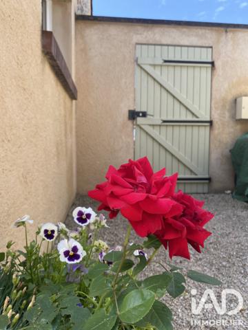 Maison à vendre 3 pièces 75 m² Hanches