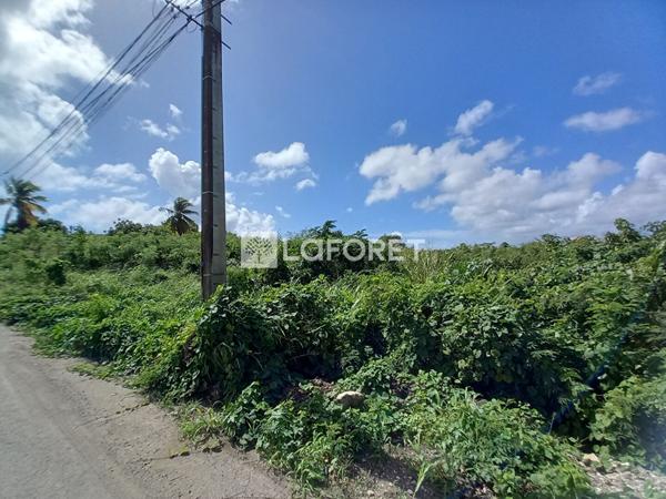 Achat terrain Saint-François - 1000 m² - 190 000 €