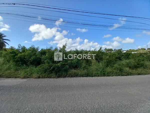 Achat terrain Saint-François - 1000 m² - 190 000 €