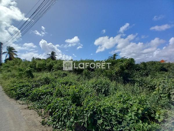 Achat terrain Saint-François - 1000 m² - 190 000 €