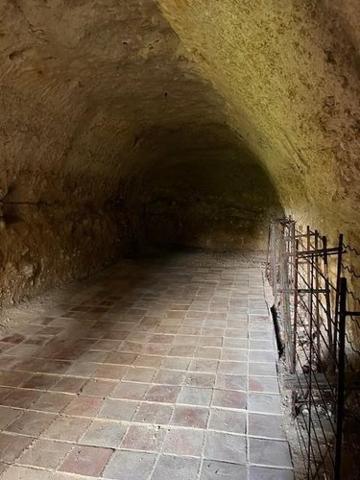 Divers à vendre à Saint-Étienne-de-Chigny dans l'Indre-et-Loire (37230), ref : 999/3600 LUYNES