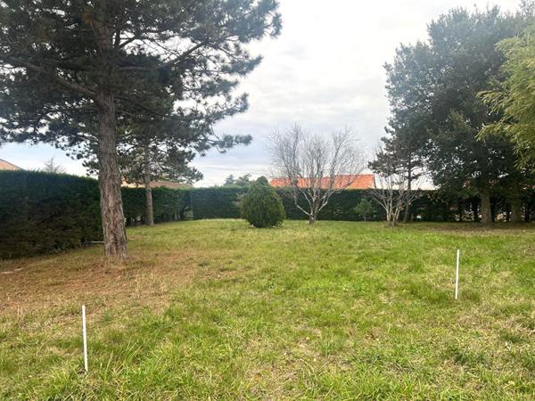 Saint Loup Cammas 31140