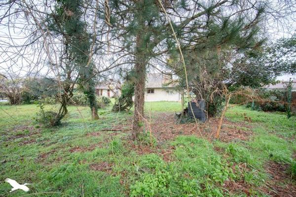 Maison à vendre |  Saint-Julien-en-Born |  5 pièces | 116 m²