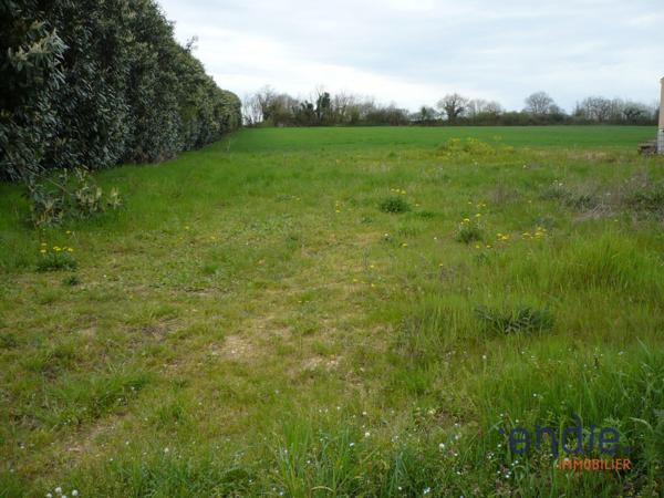 TERRAIN DE 3550 m² VIABILISE A AIRVAULT