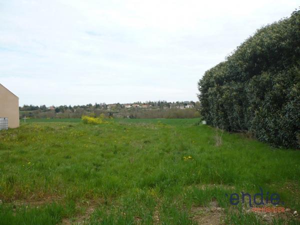TERRAIN DE 3550 m² VIABILISE A AIRVAULT