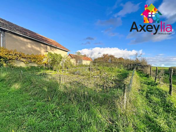 Luneau (03130) A VENDRE - LUNEAU - LONGERE BOURBONNAISE AVEC TERRAIN