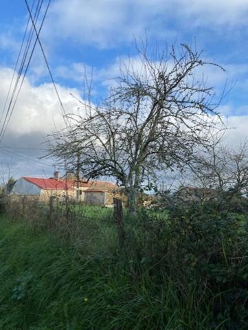 Terrain constructible, à vendre, de 1 102,00 m² DIGNAC (16)